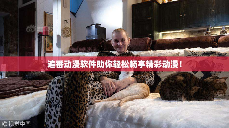 追番动漫软件助你轻松畅享精彩动漫！