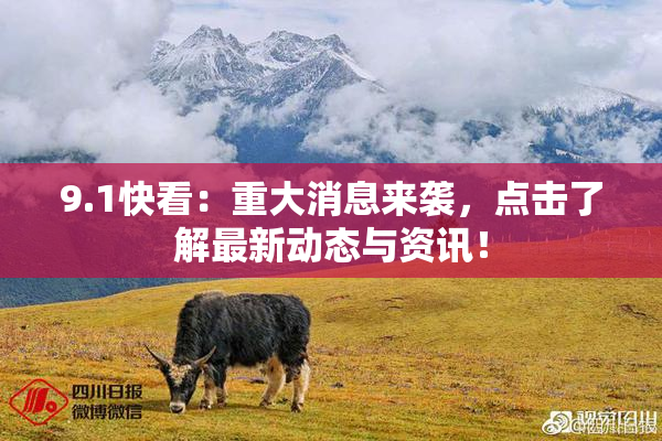 9.1快看：重大消息来袭，点击了解最新动态与资讯！