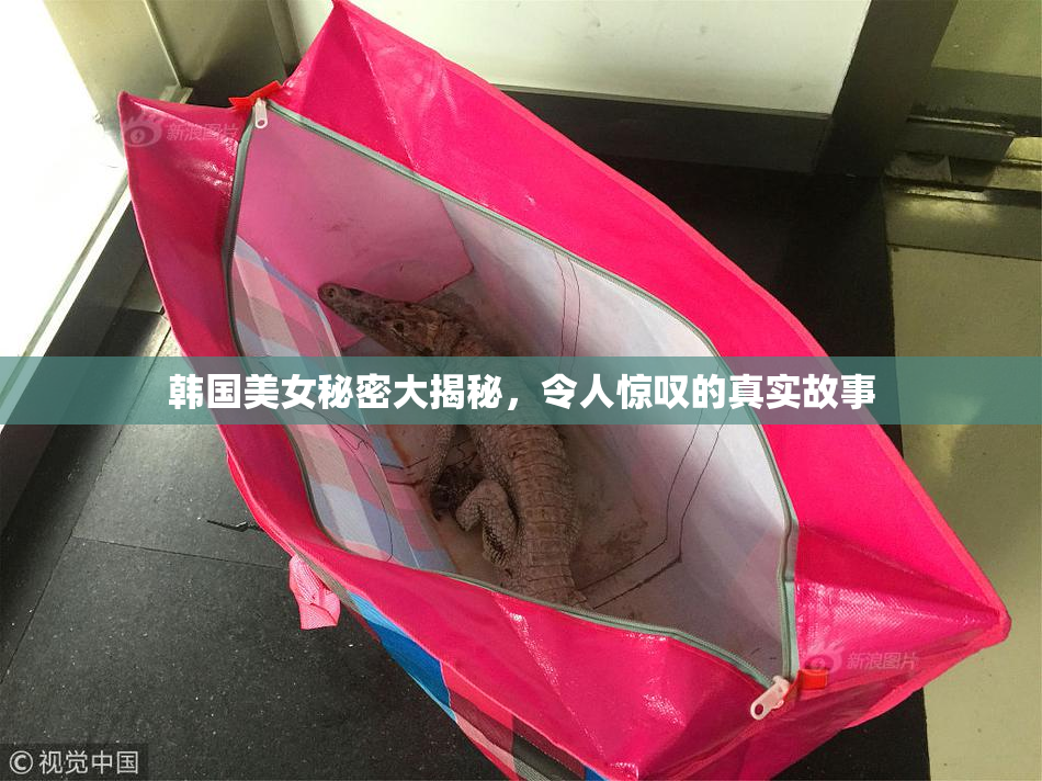 韩国美女秘密大揭秘，令人惊叹的真实故事