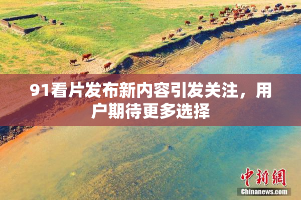 91看片发布新内容引发关注，用户期待更多选择