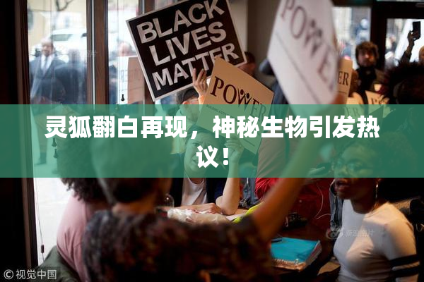 灵狐翻白再现，神秘生物引发热议！
