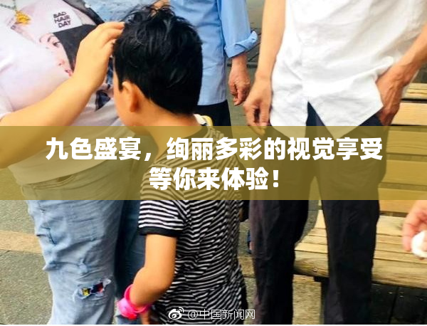 九色盛宴，绚丽多彩的视觉享受等你来体验！