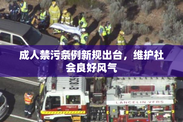 成人禁污条例新规出台，维护社会良好风气