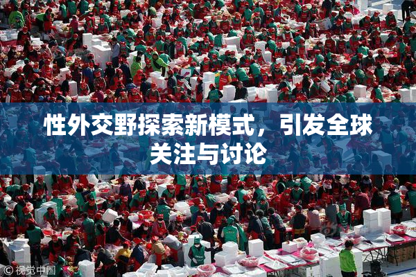 性外交野探索新模式，引发全球关注与讨论