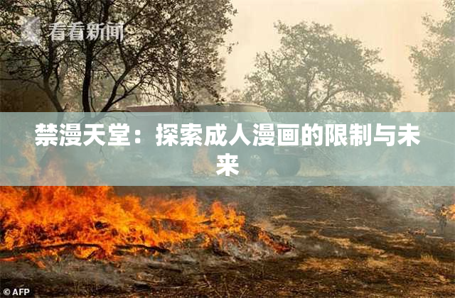 禁漫天堂：探索成人漫画的限制与未来