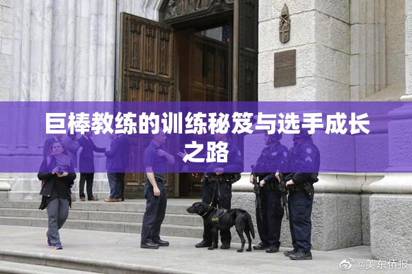 巨棒教练的训练秘笈与选手成长之路