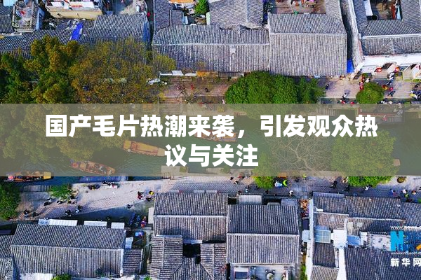 国产毛片热潮来袭，引发观众热议与关注