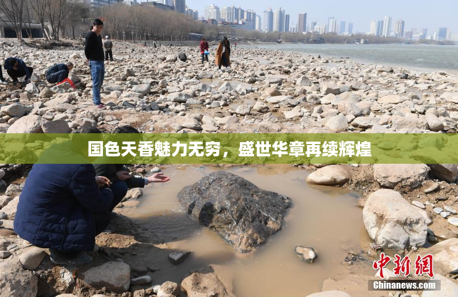 国色天香魅力无穷，盛世华章再续辉煌