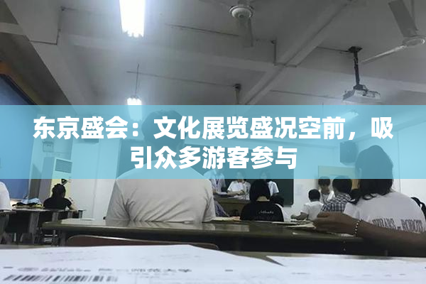 东京盛会：文化展览盛况空前，吸引众多游客参与