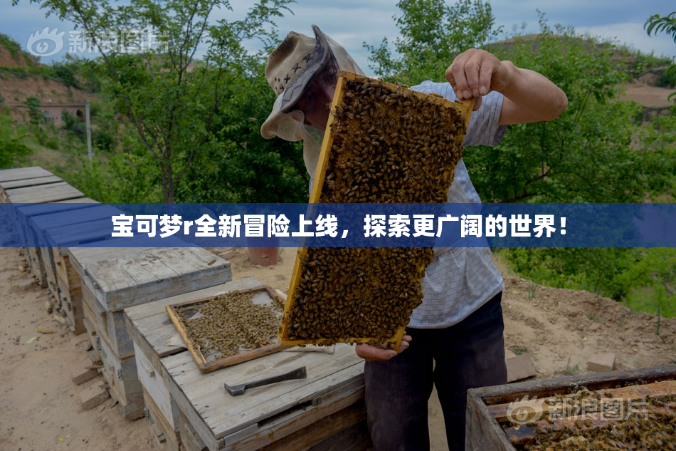 宝可梦r全新冒险上线，探索更广阔的世界！