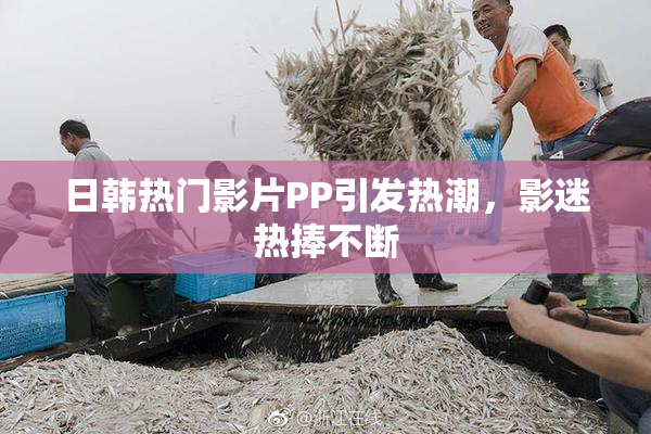 日韩热门影片PP引发热潮，影迷热捧不断