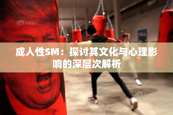 成人性SM：探讨其文化与心理影响的深层次解析