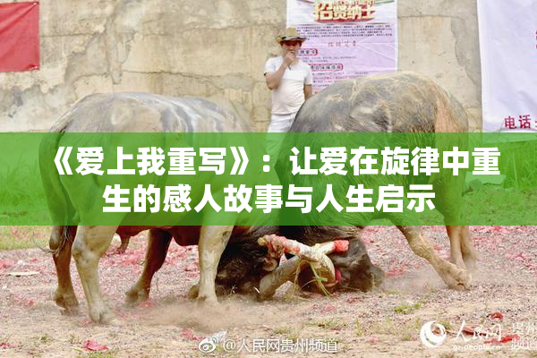 《爱上我重写》：让爱在旋律中重生的感人故事与人生启示