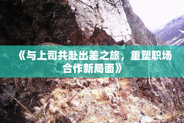 《与上司共赴出差之旅，重塑职场合作新局面》