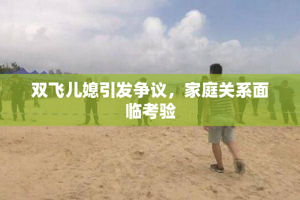 双飞儿媳引发争议，家庭关系面临考验