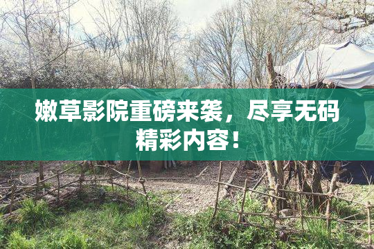 嫩草影院重磅来袭，尽享无码精彩内容！