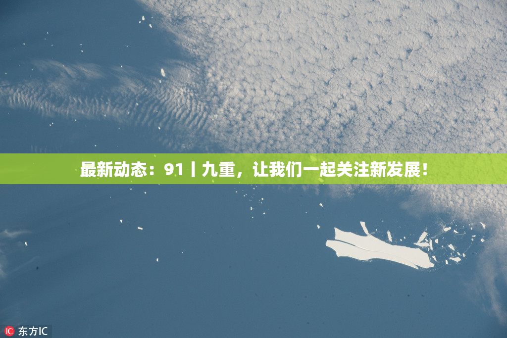 最新动态：91丨九重，让我们一起关注新发展！