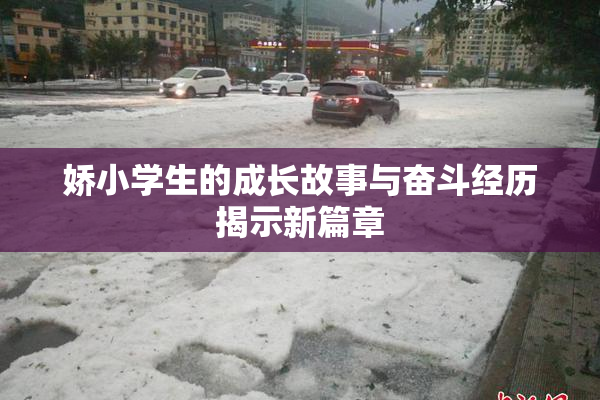 娇小学生的成长故事与奋斗经历揭示新篇章
