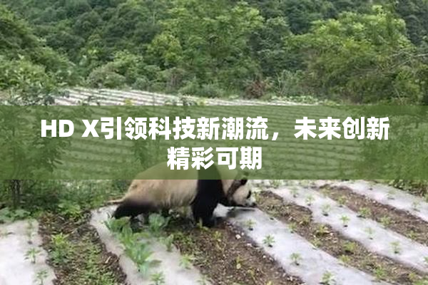 HD X引领科技新潮流，未来创新精彩可期