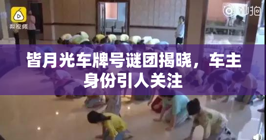 皆月光车牌号谜团揭晓，车主身份引人关注