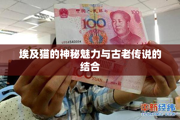 埃及猫的神秘魅力与古老传说的结合