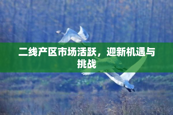 二线产区市场活跃，迎新机遇与挑战