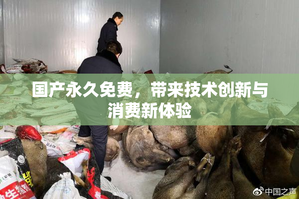 国产永久免费，带来技术创新与消费新体验