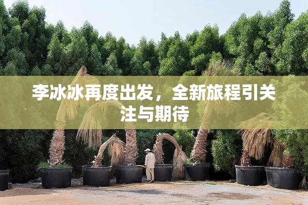 李冰冰再度出发，全新旅程引关注与期待