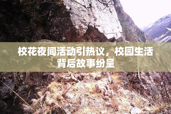 校花夜间活动引热议，校园生活背后故事纷呈