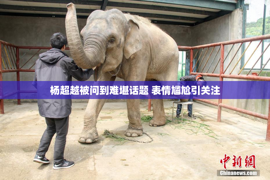 杨超越被问到难堪话题 表情尴尬引关注