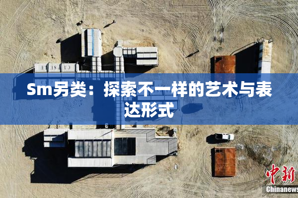 Sm另类：探索不一样的艺术与表达形式