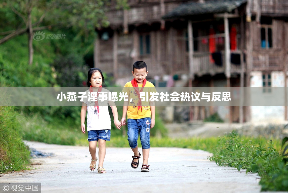 小燕子淫事曝光，引发社会热议与反思