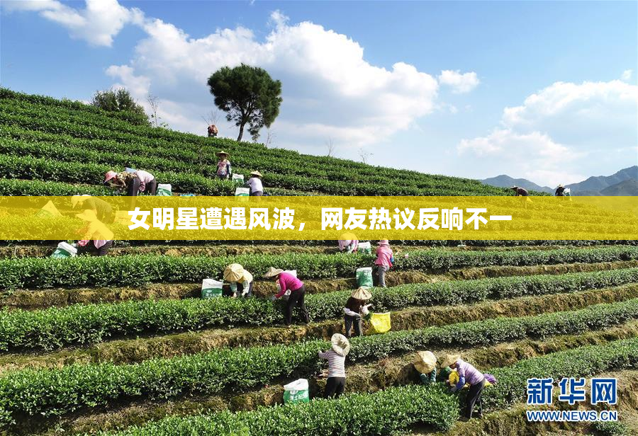 女明星遭遇风波，网友热议反响不一