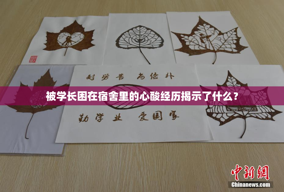 被学长困在宿舍里的心酸经历揭示了什么？
