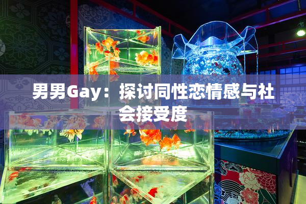 男男Gay：探讨同性恋情感与社会接受度