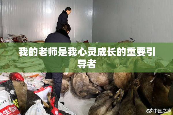 我的老师是我心灵成长的重要引导者