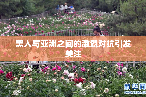 黑人与亚洲之间的激烈对抗引发关注
