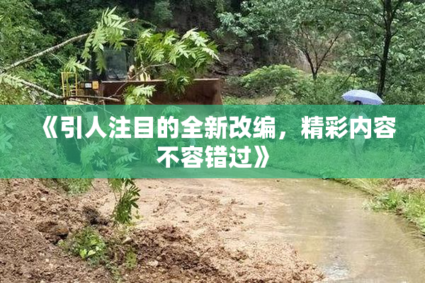 《引人注目的全新改编，精彩内容不容错过》