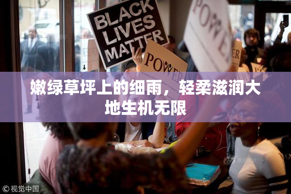 嫩绿草坪上的细雨，轻柔滋润大地生机无限