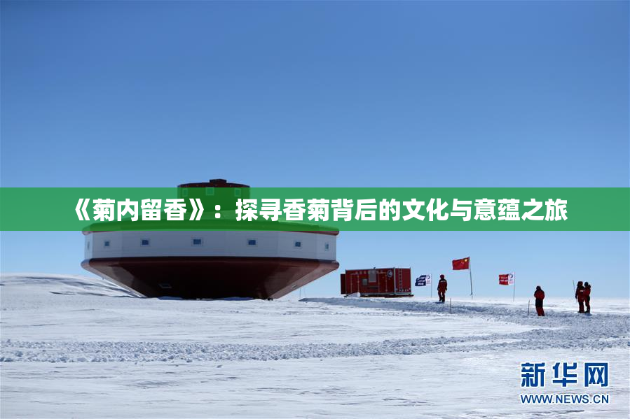 《菊内留香》：探寻香菊背后的文化与意蕴之旅