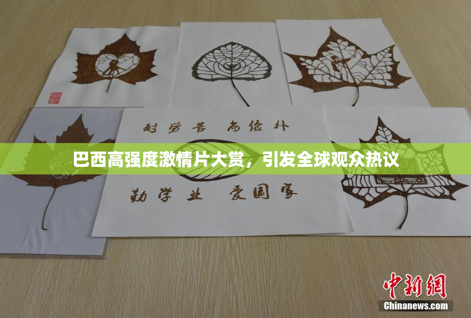 巴西高强度激情片大赏，引发全球观众热议