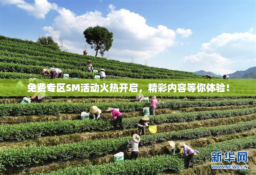 免费专区SM活动火热开启，精彩内容等你体验！