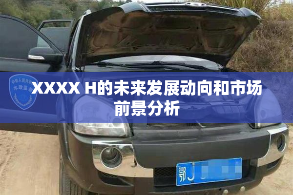XXXX H的未来发展动向和市场前景分析