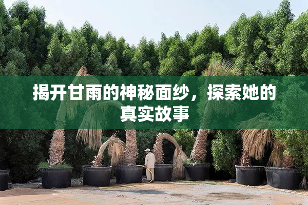 揭开甘雨的神秘面纱，探索她的真实故事