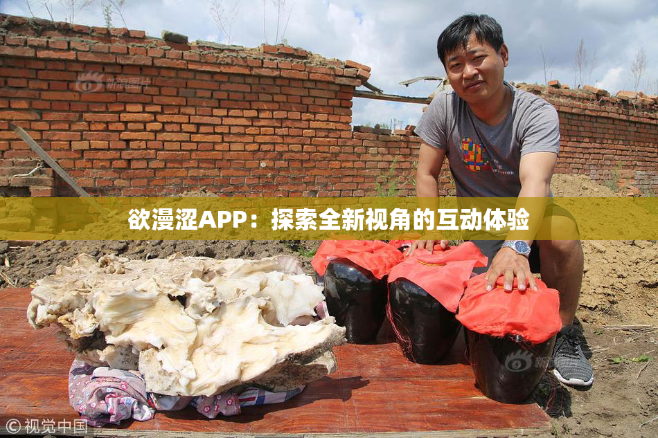 欲漫涩APP：探索全新视角的互动体验