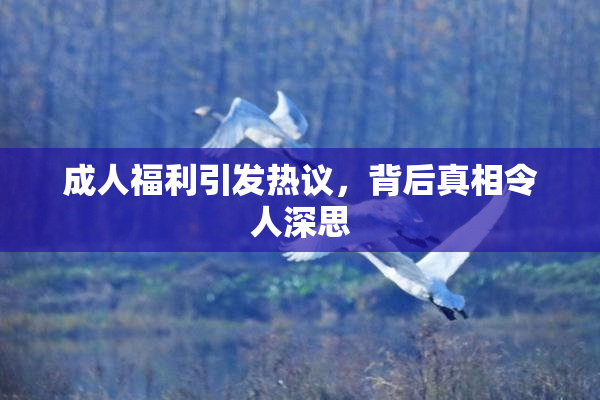 成人福利引发热议，背后真相令人深思