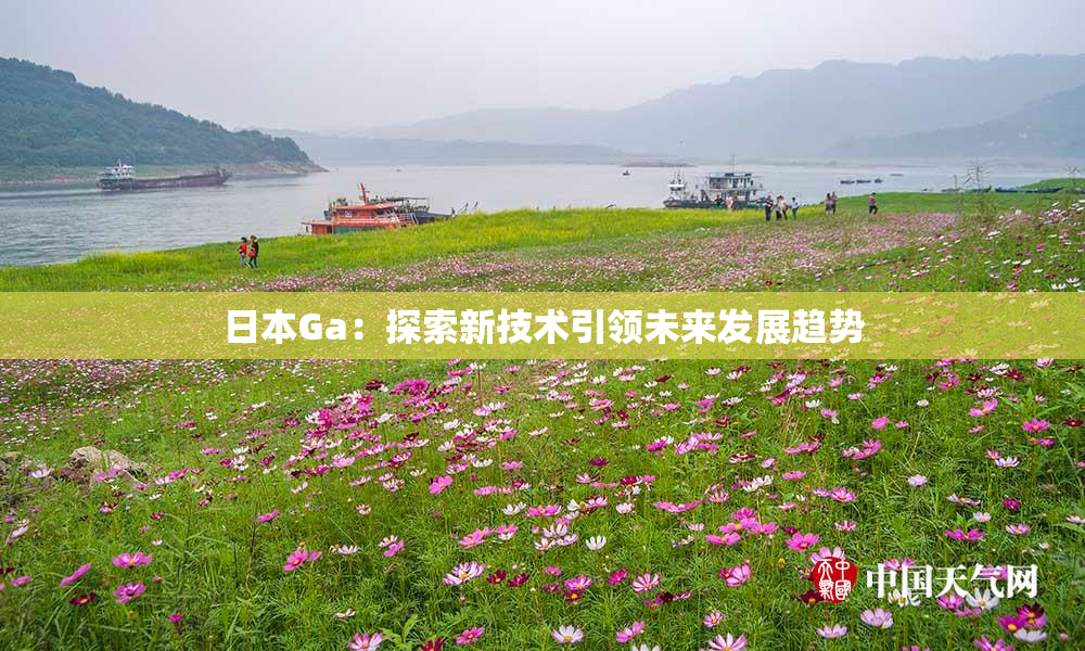 日本Ga：探索新技术引领未来发展趋势