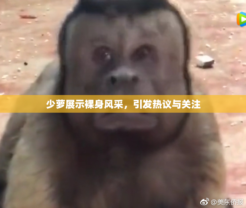 少萝展示裸身风采，引发热议与关注