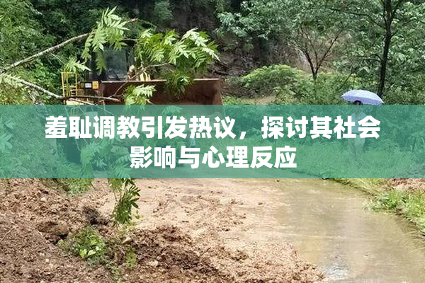 羞耻调教引发热议，探讨其社会影响与心理反应
