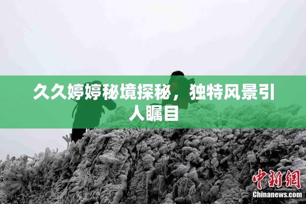 久久婷婷秘境探秘，独特风景引人瞩目